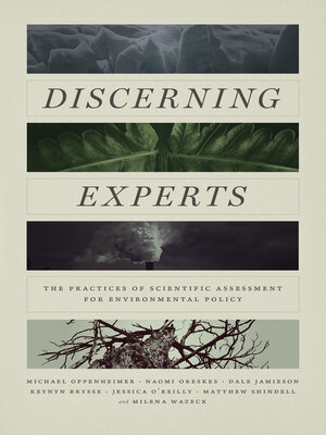 cover image of Discerning Experts
